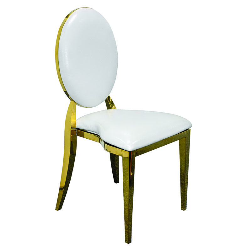 Gold Rim Luxury Dior Chair For Sale-1-Rosetone